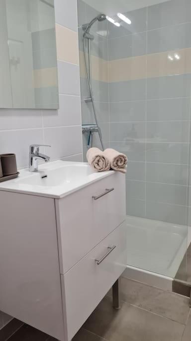 Le Green Parc, Libourne Hypercentre, Netflix, Clim Apartment Ngoại thất bức ảnh